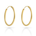 Anita Sterling Silver Hoop Earrings ZO-7553/G #1