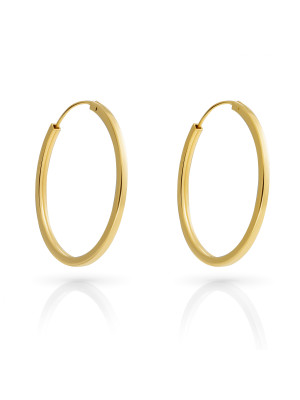 Anita Sterling Silver Hoop Earrings ZO-7553/G #1