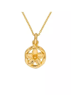 Orphelia Women's Silver Chain with Pendant ZH-6029/1