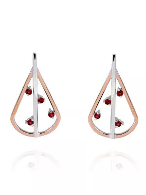 Sacha Silver Drop Earrings ZO-7496 #1