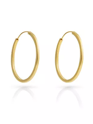 Anita Sterling Silver Hoop Earrings ZO-7553/G #1