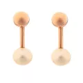 Orphelia Aliena Silver Drop Earrings ZO-7373 RG #1