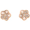 Orphelia® 'Daisy' Women's Sterling Silver Stud Earrings - Rose ZO-7585/RG