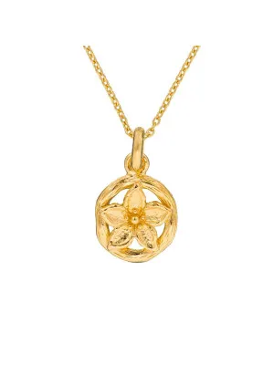 Orphelia Women's Silver Chain with Pendant ZH-6029/1