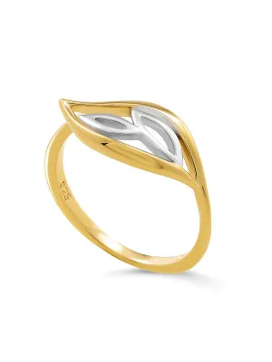 Charlotte Silver Ring ZR-7523/G #1